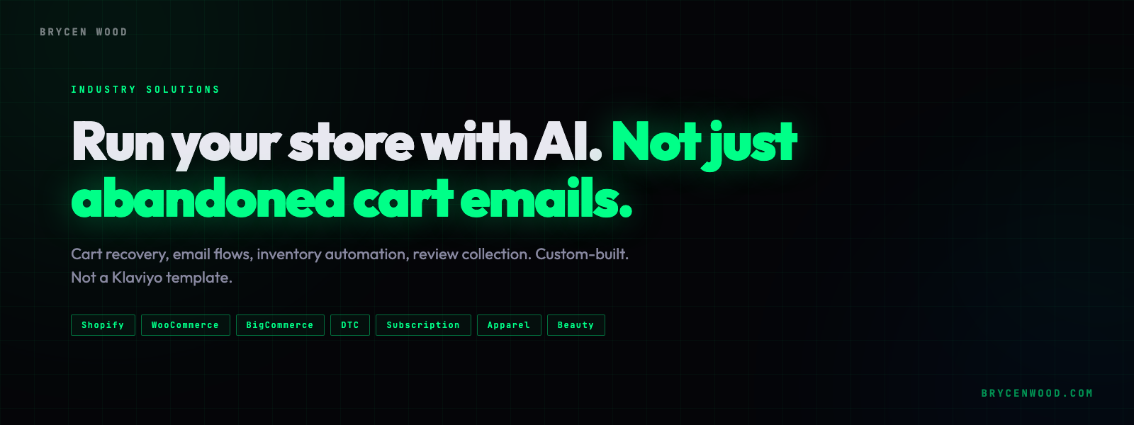 Run your store with AI. Not just abandoned cart emails.